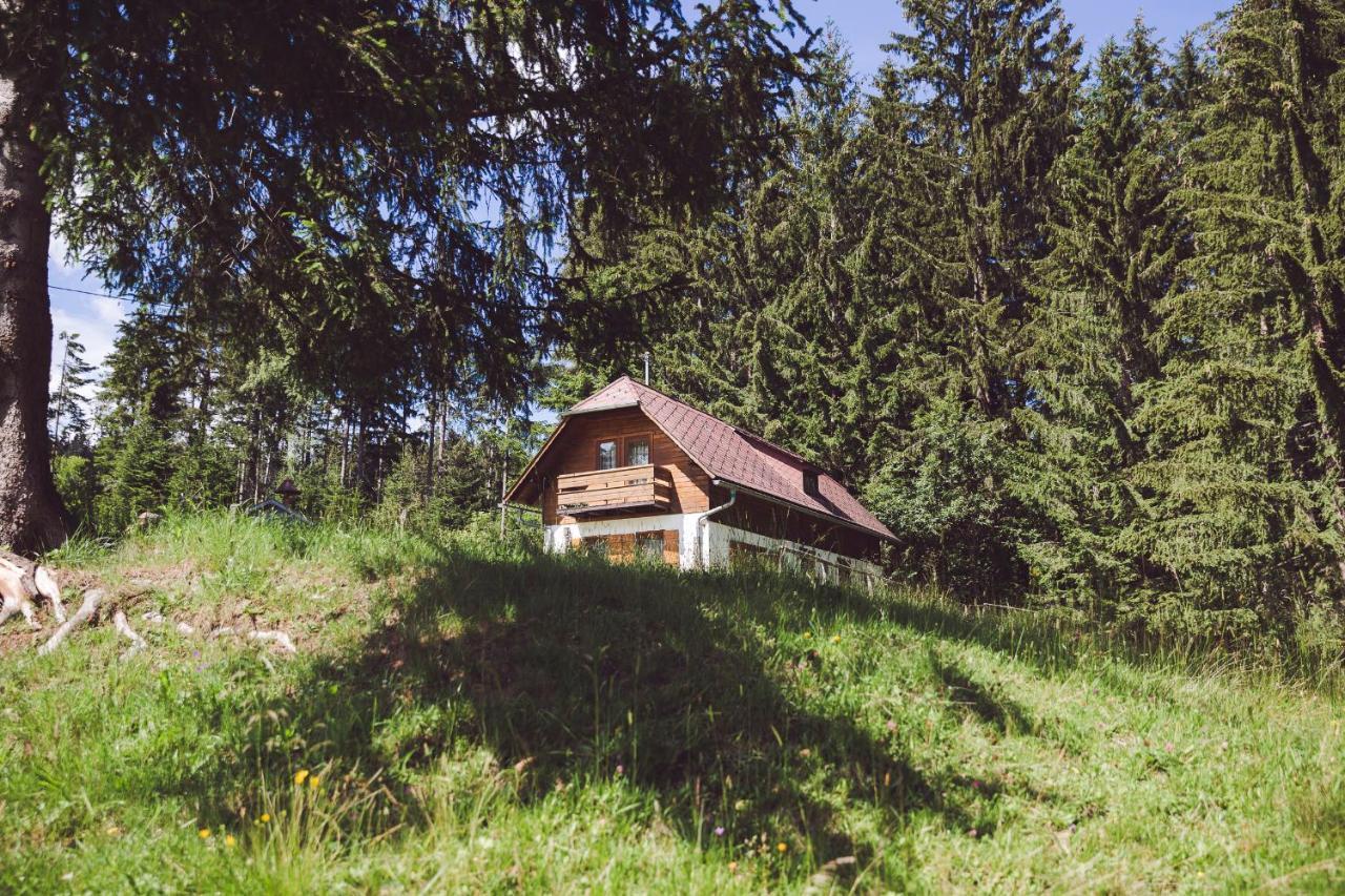 Moosbacher-Huette Aichberg Esterno foto